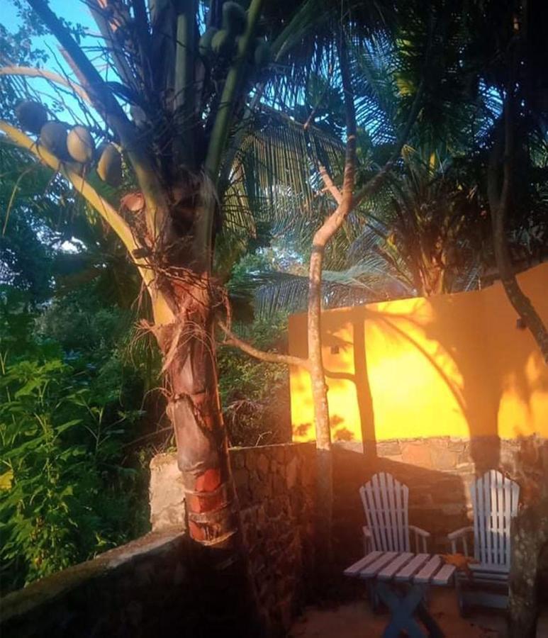 View Guesthouse & Bistro At Goyambokka Tangalle Exteriér fotografie