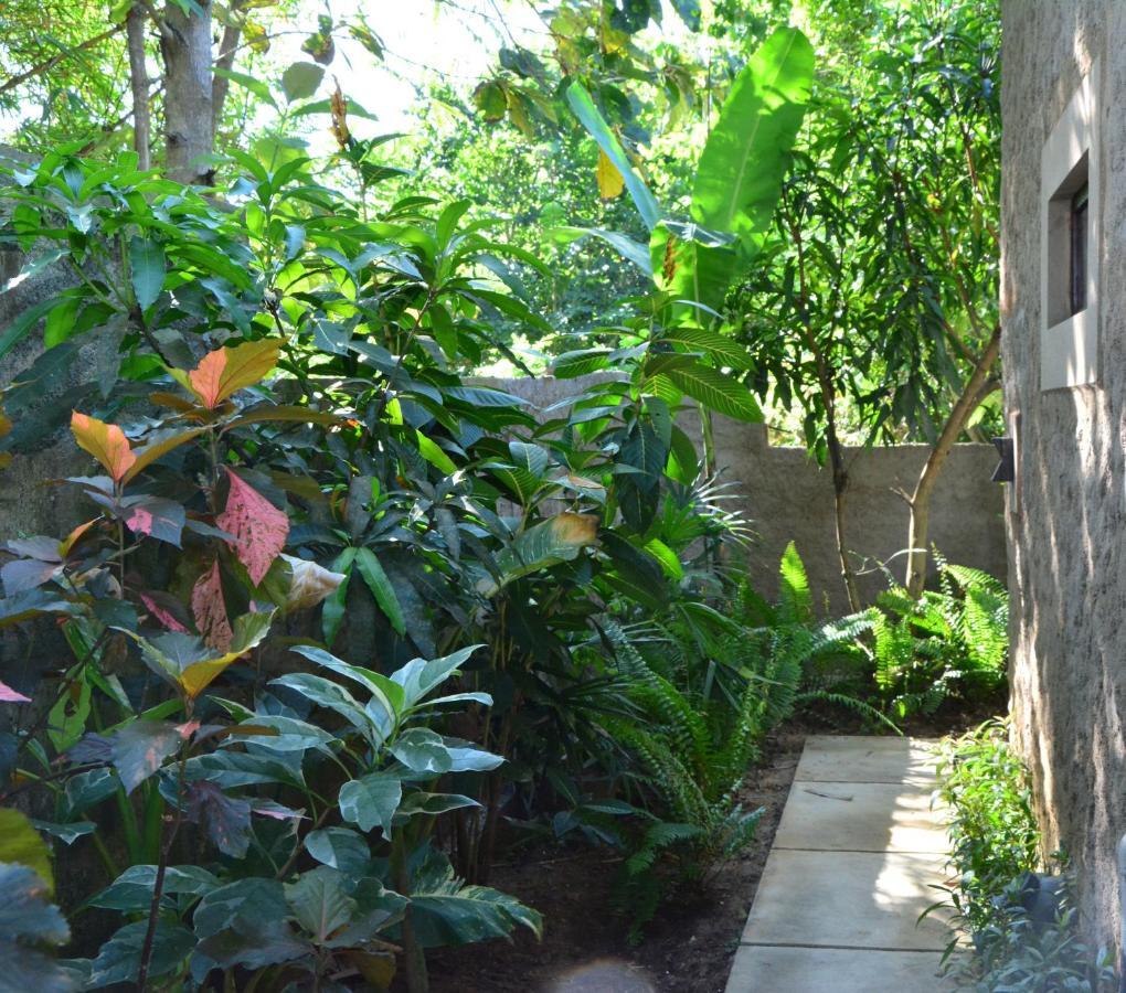 View Guesthouse & Bistro At Goyambokka Tangalle Exteriér fotografie